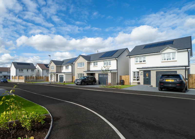 Development image (blurred plates)